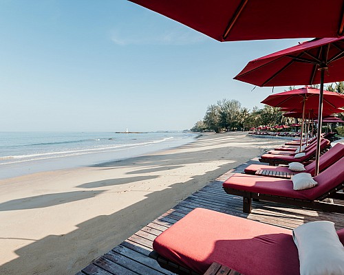 Beachfront Freeform Swimming Pool